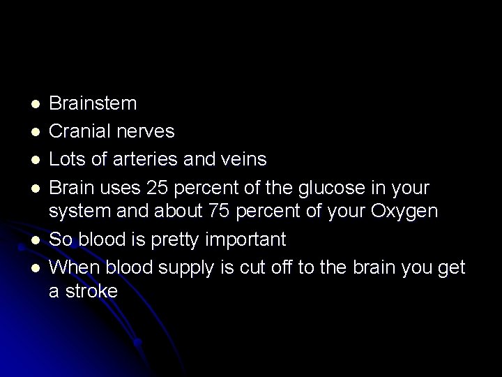 l l l Brainstem Cranial nerves Lots of arteries and veins Brain uses 25