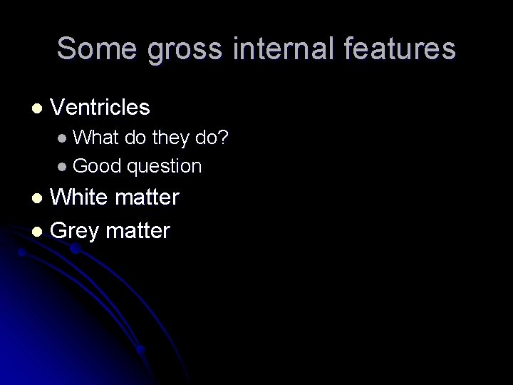 Some gross internal features l Ventricles l What do they do? l Good question