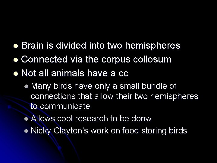 Brain is divided into two hemispheres l Connected via the corpus collosum l Not