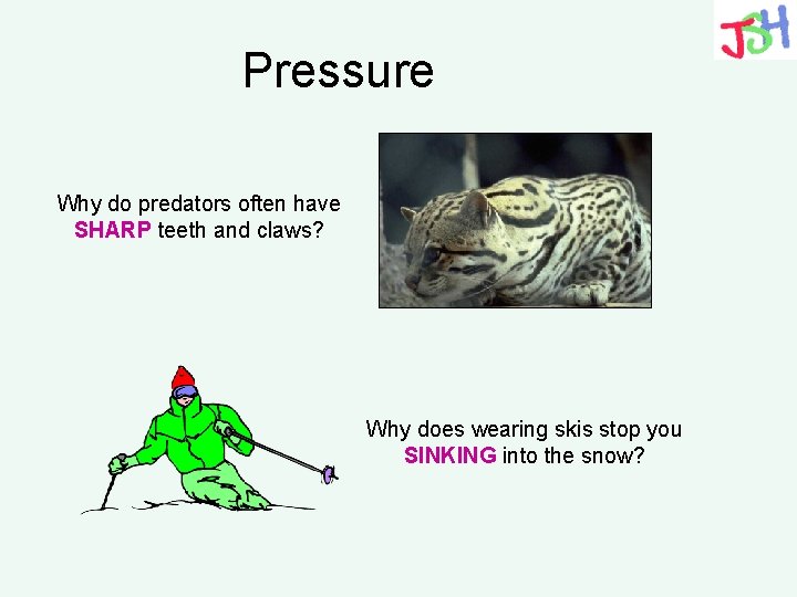 Pressure Why do predators often have SHARP teeth and claws? Why does wearing skis