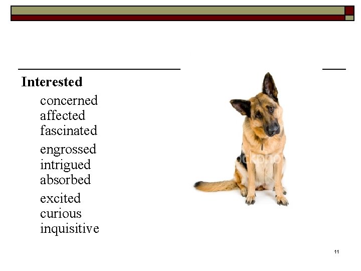 Interested concerned affected fascinated engrossed intrigued absorbed excited curious inquisitive 11 