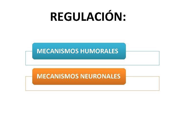 REGULACIÓN: MECANISMOS HUMORALES MECANISMOS NEURONALES 