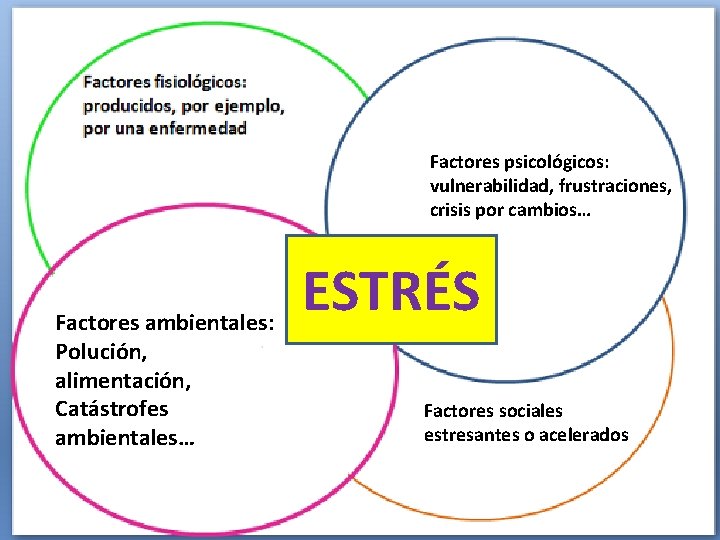 Factores psicológicos: vulnerabilidad, frustraciones, crisis por cambios… Factores ambientales: Polución, alimentación, Catástrofes ambientales… ESTRÉS