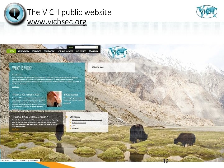 The VICH public website www. vichsec. org 10 10 10 