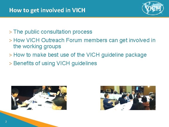 How to get involved in VICH > The public consultation process > How VICH