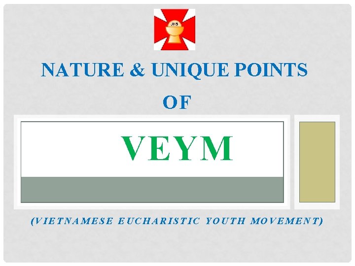 NATURE & UNIQUE POINTS OF VEYM (VIETNAMESE EUCHARISTIC YOUTH MOVEMENT) 