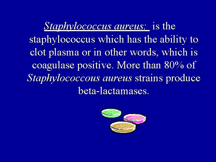 Staphylococcus aureus: is the staphylococcus which has the ability to clot plasma or in