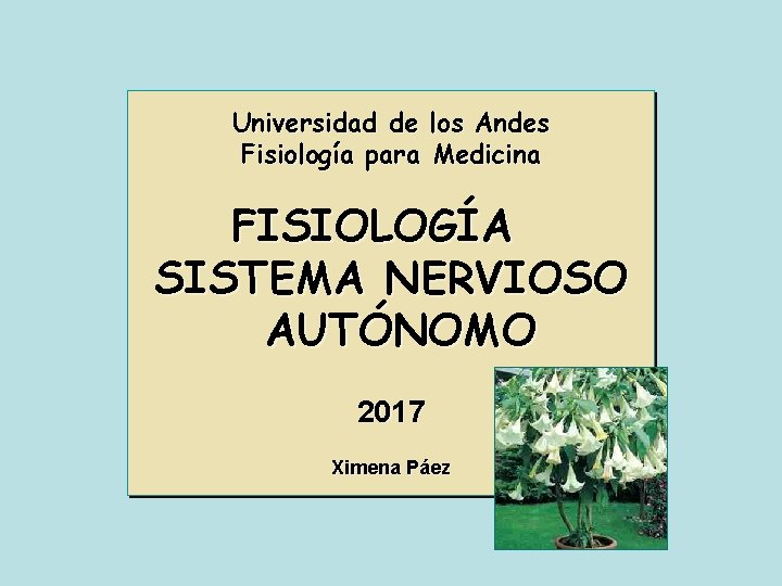 Universidad de los Andes Fisiología para Medicina FISIOLOGÍA SISTEMA NERVIOSO AUTÓNOMO 2017 Ximena Páez