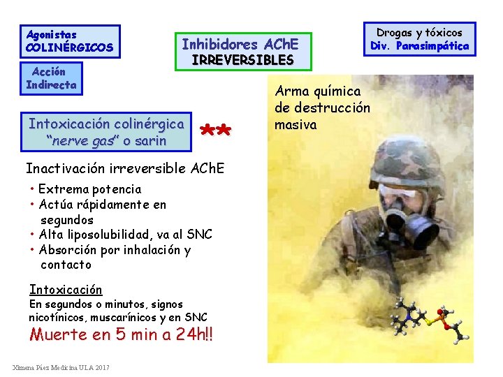 Agonistas COLINÉRGICOS Inhibidores ACh. E Acción Indirecta Intoxicación colinérgica “nerve gas” o sarin IRREVERSIBLES