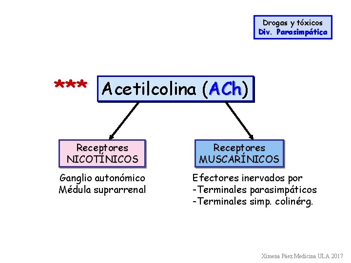 Drogas y tóxicos Div. Parasimpática *** Acetilcolina (ACh) Receptores NICOTÍNICOS Ganglio autonómico Médula suprarrenal