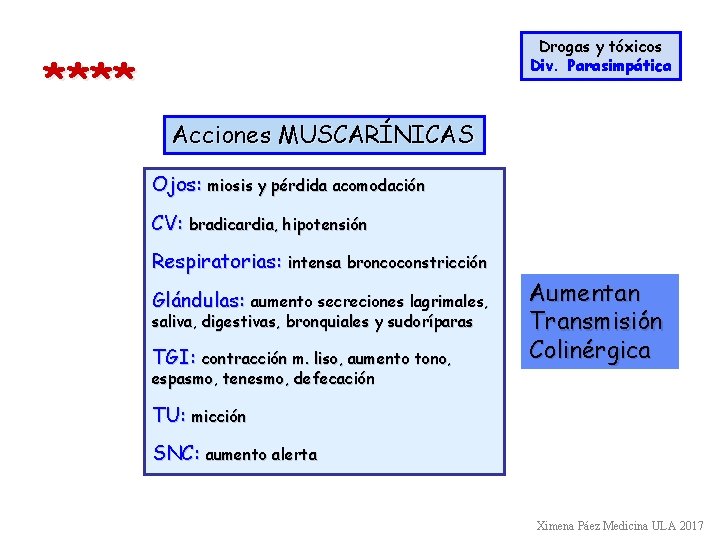 Drogas y tóxicos Div. Parasimpática **** Acciones MUSCARÍNICAS Ojos: miosis y pérdida acomodación CV: