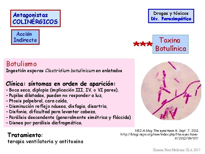 Drogas y tóxicos Div. Parasimpática Antagonistas COLINÉRGICOS Acción Indirecta *** Toxina Botulínica Botulismo Ingestión