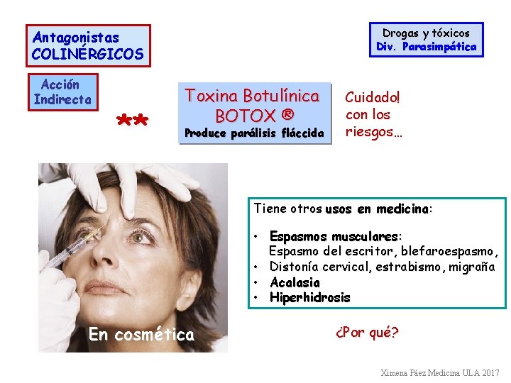 Drogas y tóxicos Div. Parasimpática Antagonistas COLINÉRGICOS Acción Indirecta ** Toxina Botulínica BOTOX ®