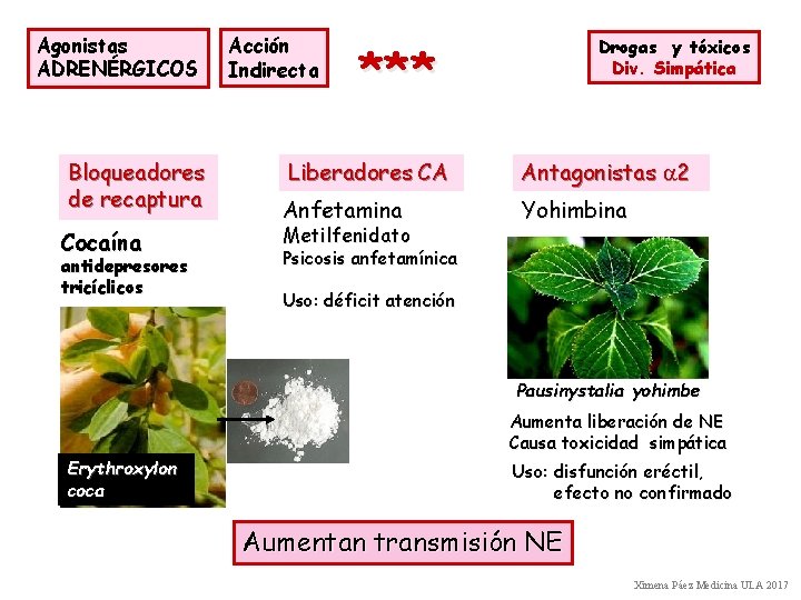 Agonistas ADRENÉRGICOS Bloqueadores de recaptura Cocaína antidepresores tricíclicos Acción Indirecta Drogas y tóxicos Div.