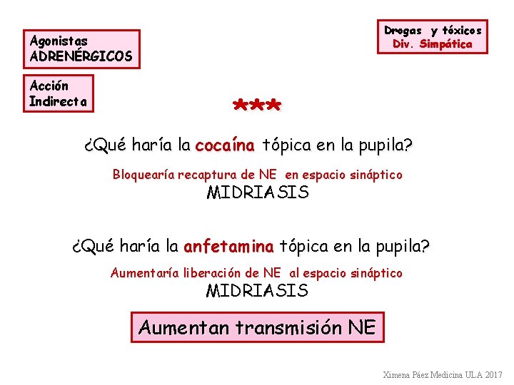 Drogas y tóxicos Div. Simpática Agonistas ADRENÉRGICOS Acción Indirecta *** ¿Qué haría la cocaína Drogas y tóxicos Div. Simpática Agonistas ADRENÉRGICOS Acción Indirecta *** ¿Qué haría la cocaína