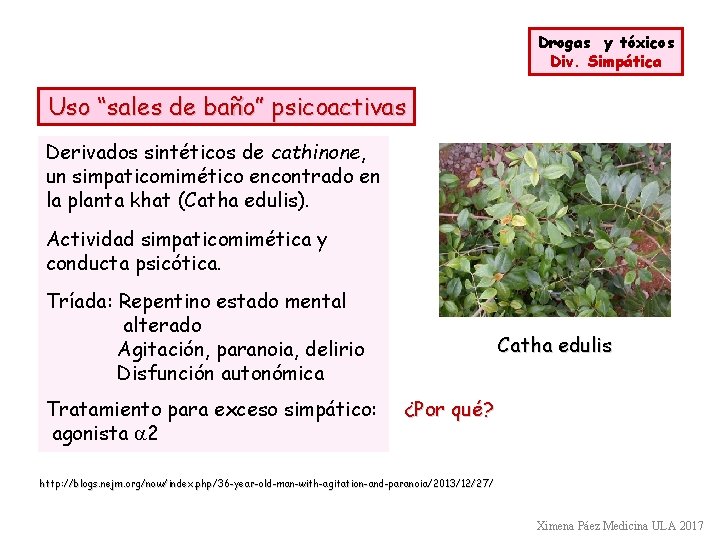 Drogas y tóxicos Div. Simpática Uso “sales de baño” psicoactivas Derivados sintéticos de cathinone,