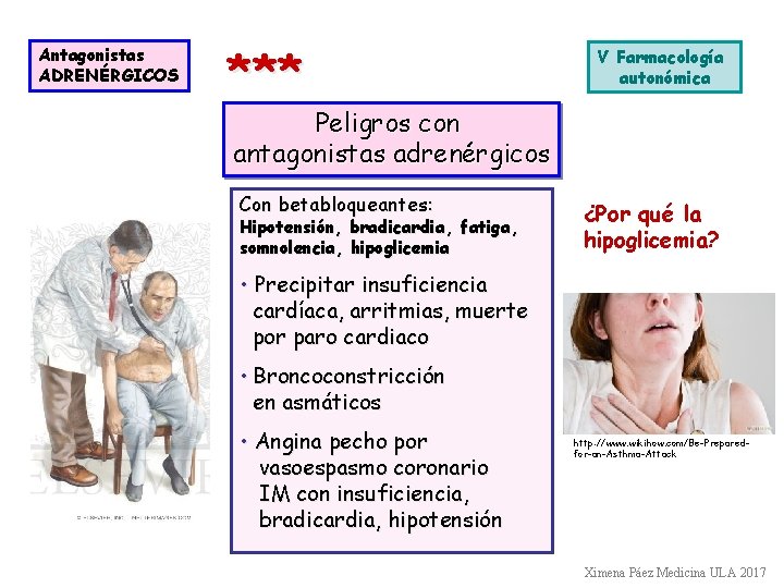 Antagonistas ADRENÉRGICOS *** V Farmacología autonómica Peligros con antagonistas adrenérgicos Con betabloqueantes: Hipotensión, bradicardia, Antagonistas ADRENÉRGICOS *** V Farmacología autonómica Peligros con antagonistas adrenérgicos Con betabloqueantes: Hipotensión, bradicardia,