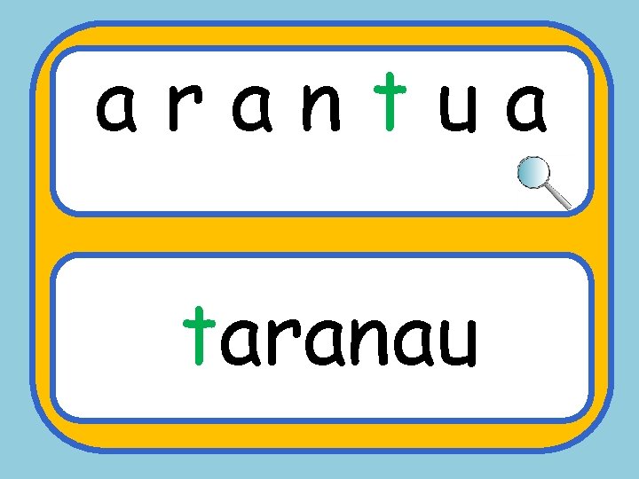 a r a n t u a sgs taranau 