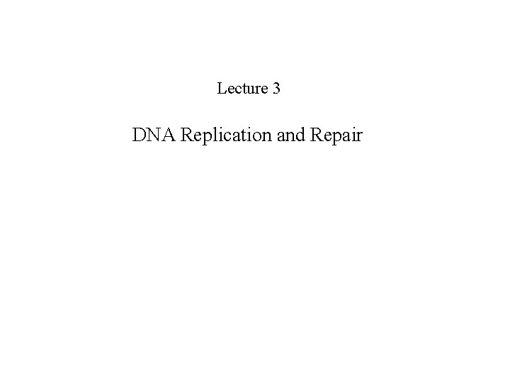Lecture 3 DNA Replication and Repair 