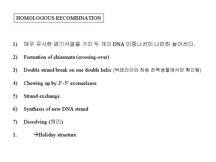 HOMOLOGOUS RECOMBINATION 1) 매우 유사한 염기서열을 가진 두 개의 DNA 이중나선이 나란히 늘어선다. 2)