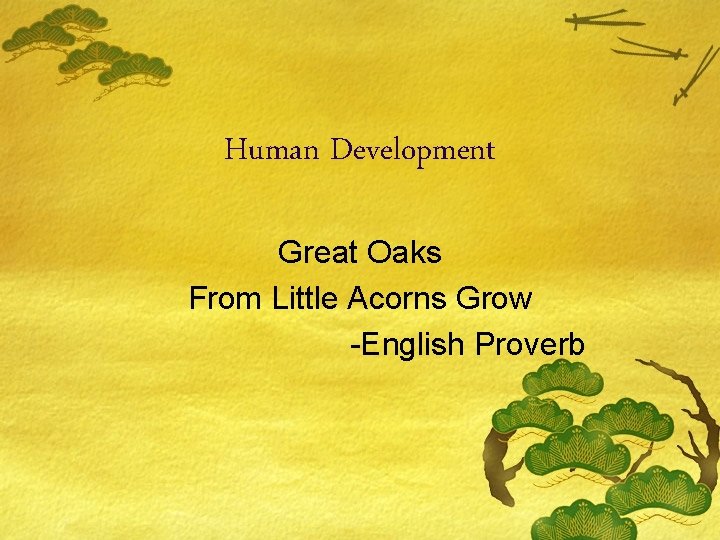 Human Development Great Oaks From Little Acorns Grow -English Proverb 