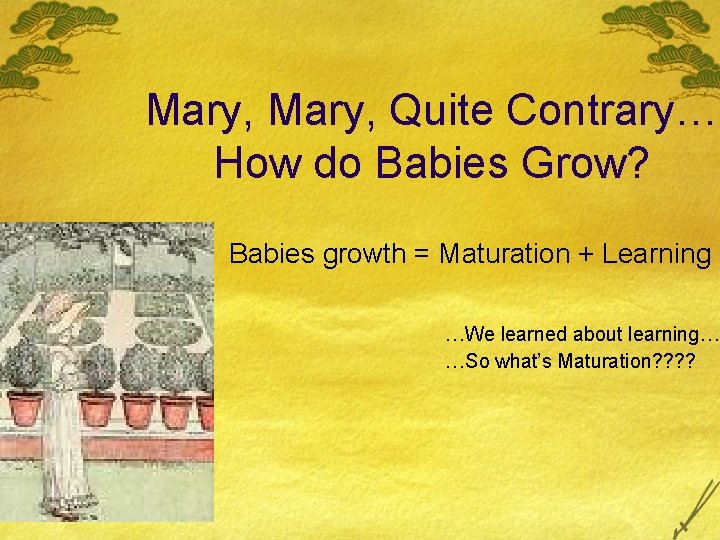 Mary, Quite Contrary… How do Babies Grow? Babies growth = Maturation + Learning …We Mary, Quite Contrary… How do Babies Grow? Babies growth = Maturation + Learning …We