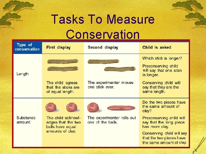 Tasks To Measure Conservation Tasks To Measure Conservation