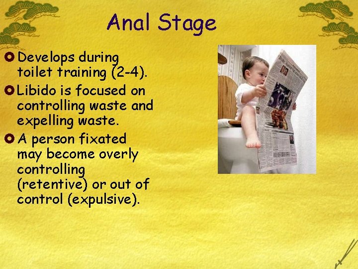 Anal Stage £ Develops during toilet training (2 -4). £ Libido is focused on