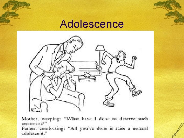 Adolescence 