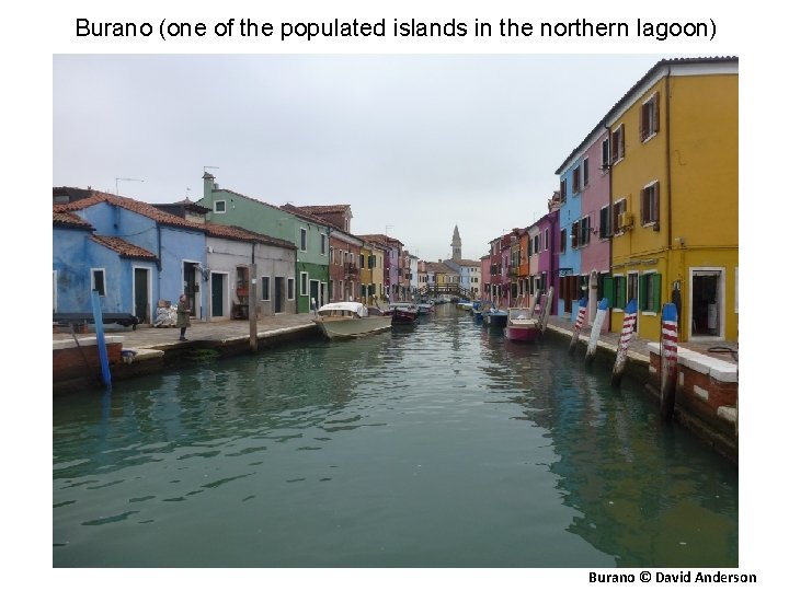 Burano (one of the populated islands in the northern lagoon) Burano © David Anderson