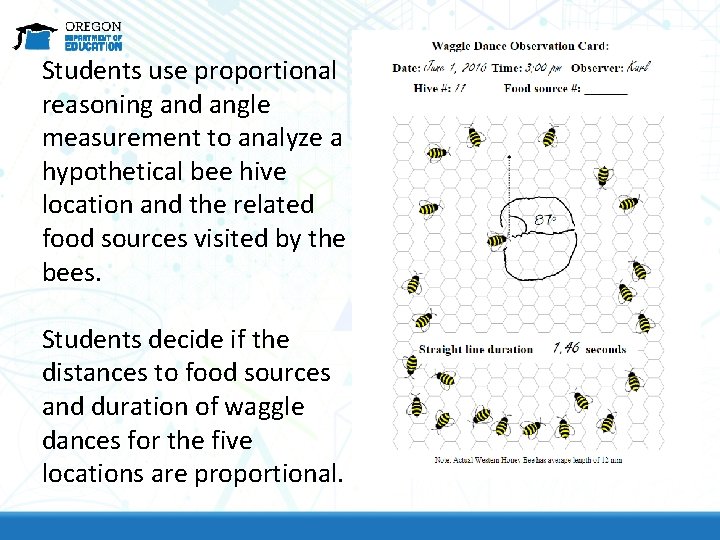 Students use proportional reasoning and angle measurement to analyze a hypothetical bee hive location