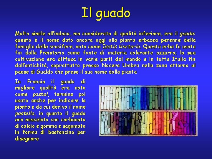 Il guado Molto simile all’indaco, ma considerato di qualità inferiore, era il guado: questo