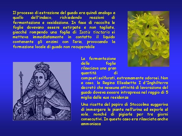 Il processo di estrazione del guado era quindi analogo a quello dell'indaco, richiedendo reazioni