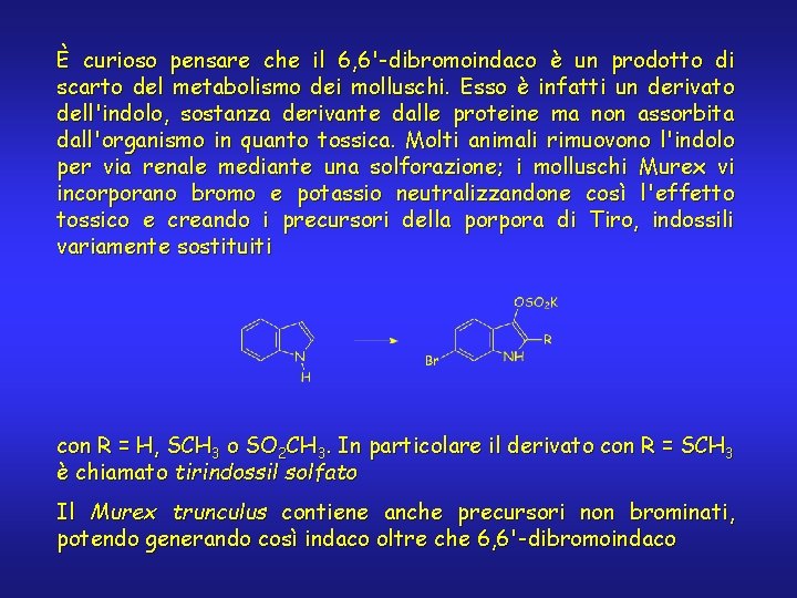 È curioso pensare che il 6, 6'-dibromoindaco è un prodotto di scarto del metabolismo