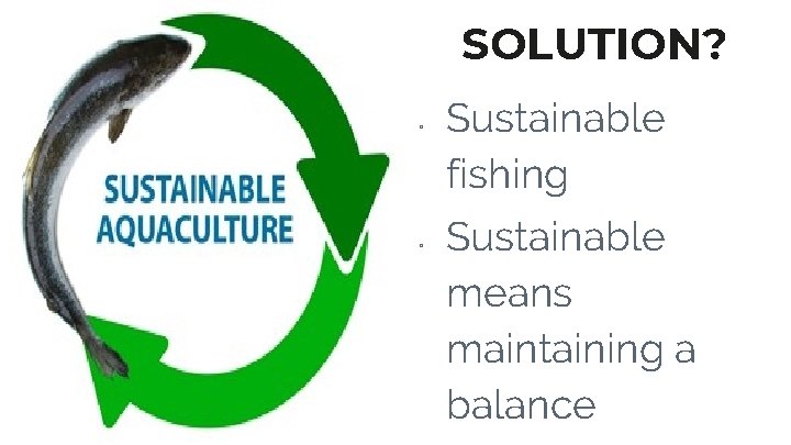 SOLUTION? ▫ ▫ Sustainable fishing Sustainable means maintaining a balance 