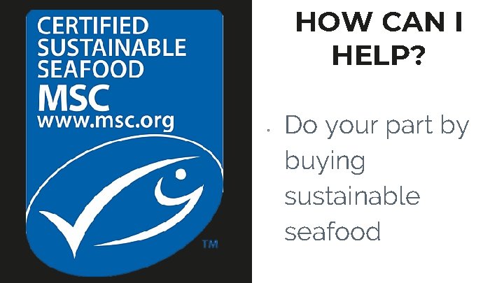 HOW CAN I HELP? ▫ Do your part by buying sustainable seafood 