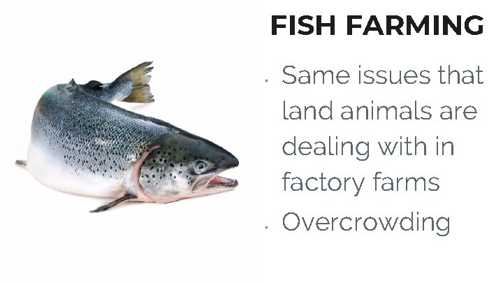 FISH FARMING ▫ ▫ Same issues that land animals are dealing with in factory