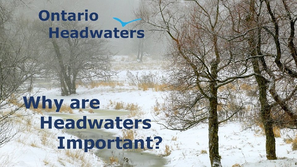Why are Headwaters Important? 