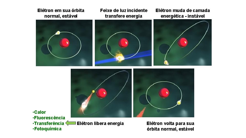 Elétron em sua órbita normal, estável • Calor • Fluorescência • Transferência • Fotoquímica