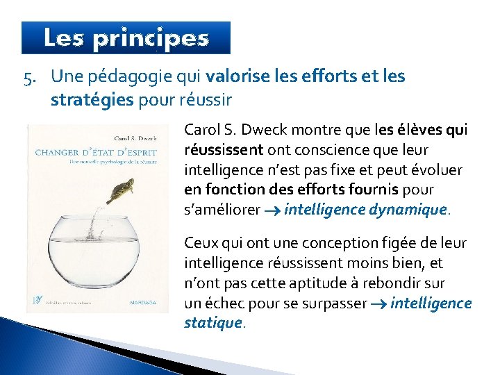 Les principes 5. Une pédagogie qui valorise les efforts et les stratégies pour réussir