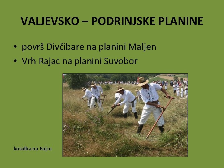 VALJEVSKO – PODRINJSKE PLANINE • površ Divčibare na planini Maljen • Vrh Rajac na