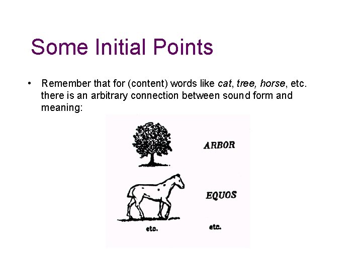 Some Initial Points • Remember that for (content) words like cat, tree, horse, etc.