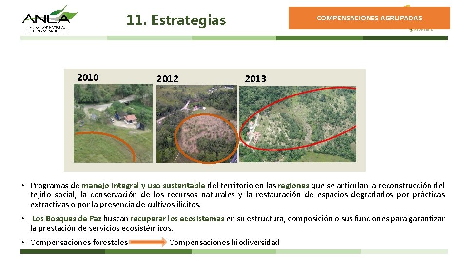11. Estrategias 2010 2012 COMPENSACIONES AGRUPADAS 2013 • Programas de manejo integral y uso