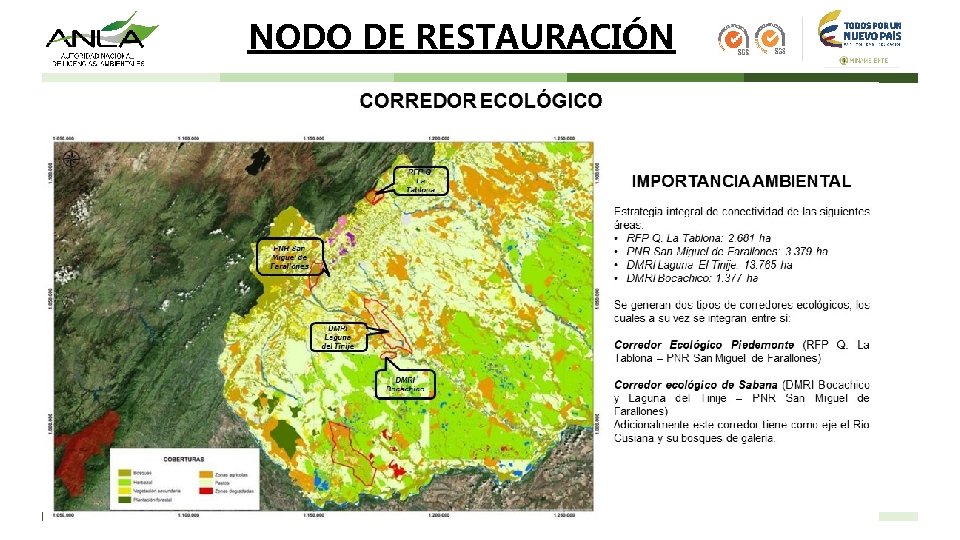 NODO DE RESTAURACIÓN 
