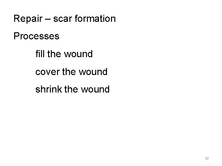 Repair – scar formation Processes fill the wound cover the wound shrink the wound