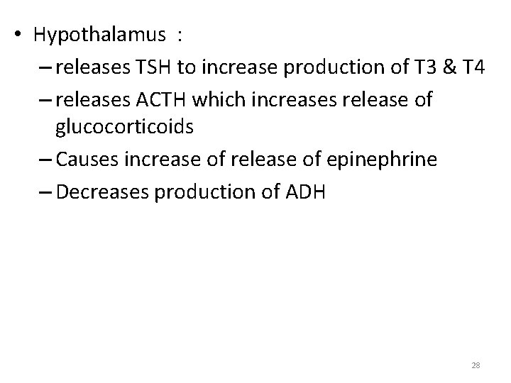  • Hypothalamus : – releases TSH to increase production of T 3 &