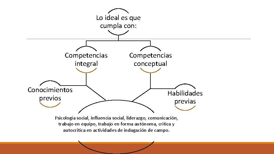 Lo ideal es que cumpla con: Competencias integral Conocimientos previos Competencias conceptual Habilidades previas