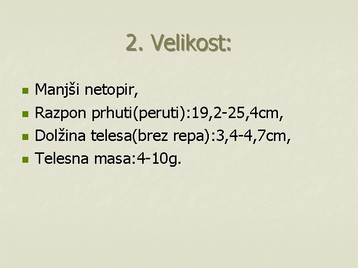 2. Velikost: n n Manjši netopir, Razpon prhuti(peruti): 19, 2 -25, 4 cm, Dolžina