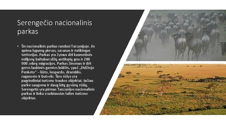 Serengečio nacionalinis parkas • Šis nacionalinis parkas randasi Tarzanijoje. Jis apima lygumų pievas, savanas