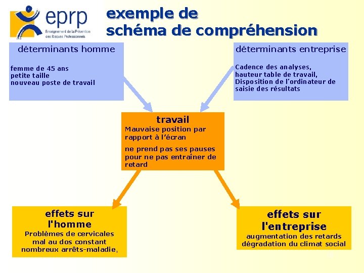exemple de schéma de compréhension déterminants homme déterminants entreprise Cadence des analyses, hauteur table